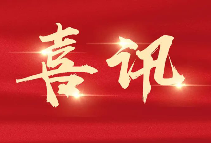 集團多個(gè)項目榮獲“市建筑工程安全文明標準化示范工地”稱(chēng)號
